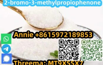 Buy High quality materials CAS 1451-83-8 2-bromo-3
