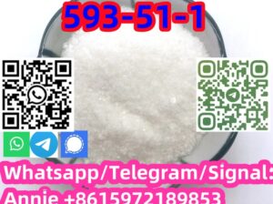 Buy good price fast delivery CAS 593-51-1 Methyla