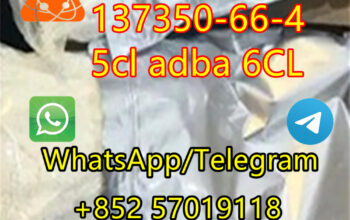5cl adba 6CL cas 137350-66-4 hotsale in the United