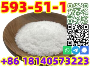 Buy Hot sale CAS 593-51-1 Methylamine hydrochlori