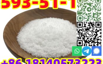 Buy Hot sale CAS 593-51-1 Methylamine hydrochlori