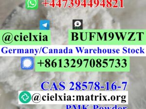 CAS 28578-16-7 PMK Ethyl Glycidate PMK Powder/PMK