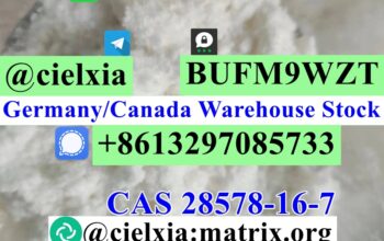 CAS 28578-16-7 PMK Ethyl Glycidate PMK Powder/PMK