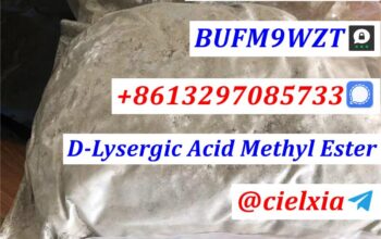 Factory Price CAS 4579-64-0 D-Lysergic Acid Methyl