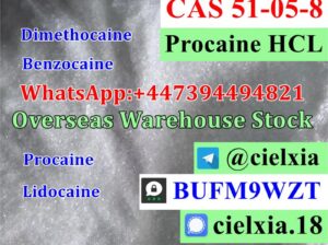 Warehouse delivery CAS 51-05-8 Procaine HCL