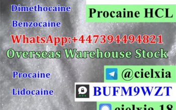 Warehouse delivery CAS 51-05-8 Procaine HCL