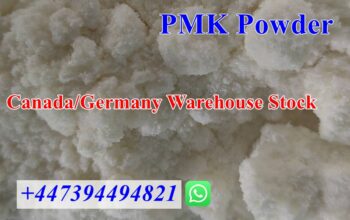 PMK Ethyl Glycidate CAS 28578-16-7 PMK powder/oil