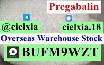 Pregabalin lyrica powder CAS 148553-50-8 best qual