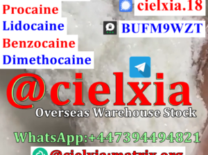 CAS 94-15-5 Dimethocaine Pharmaceutical intermedia
