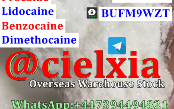 CAS 94-15-5 Dimethocaine Pharmaceutical intermedia