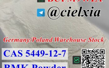 CAS 5449-12-7 BMK Powder CAS 41232-97-7 New BMK Oi