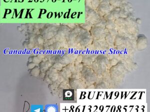 CAS 28578-16-7 PMK Ethyl Glycidate CAS 2503-44-8 N