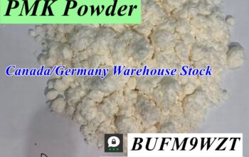 CAS 28578-16-7 PMK Ethyl Glycidate CAS 2503-44-8 N