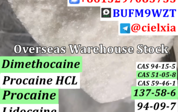 Procaine CAS 59-46-1/CAS 94-09-7 Benzocaine