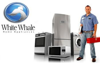 توكيل ديب فريزر وايت ويل في بنها 0235699066