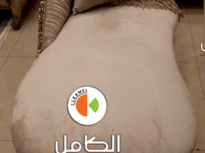 صالونات واثاث دمياط شيك لعام 2024 اجمل الموديلات