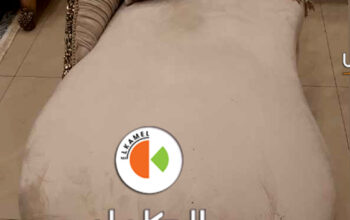 صالونات واثاث دمياط شيك لعام 2024 اجمل الموديلات