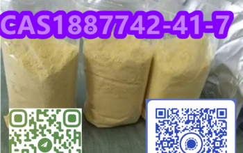 xianggang jiulong streetWe are one of the largest