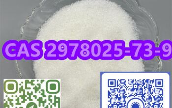 xianggang jiulong streetWe are one of the largest