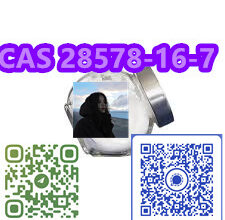 Factory supply best price CAS 28578-16-7