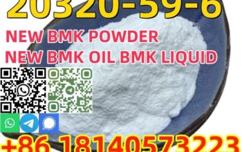 High Quality New Pmk Oil CAS 20320-59-6