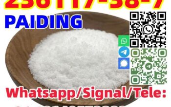 Buy good quality CAS 236117-38-7 –