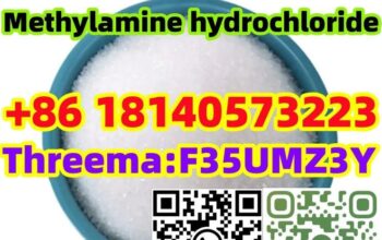 Buy Hot sale CAS 593-51-1 Methylamine hydrochlorid
