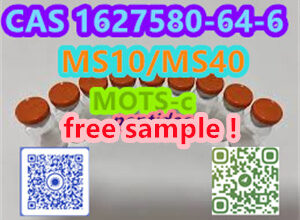 Yuen Long District, Hong Kong