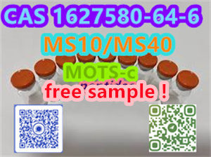 Yuen Long District, Hong Kong