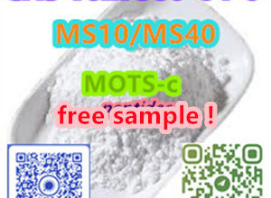 Yuen Long District, Hong Kong