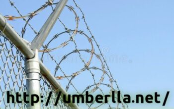 مقاول شبوك ونخيل سياج 0508073635