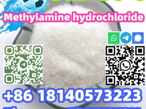 Hot sale CAS 593-51-1 Methylamine hydrochloride