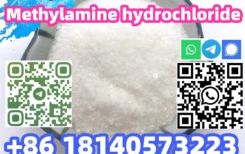 Hot sale CAS 593-51-1 Methylamine hydrochloride