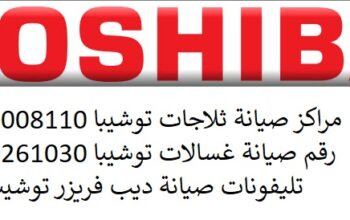 رقم ثلاجات توشيبا طوخ 01023140280