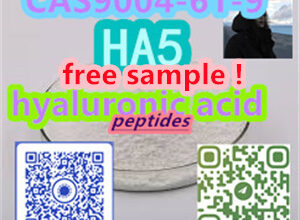 Yuen Long District, Hong Kong