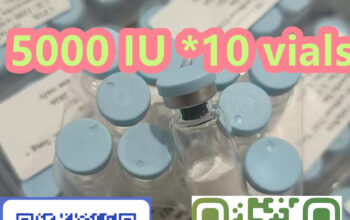 Yuen Long District, Hong Kong