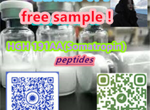 Yuen Long District, Hong Kong