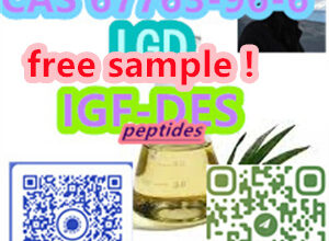 Yuen Long District, Hong Kong