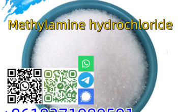 Best quality CAS 593-51-1 Methylamine hydrochlori