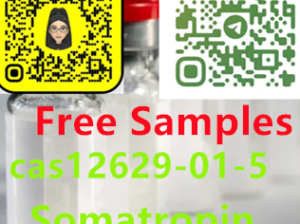 12629-01-5 HGH 191AA(Somatropin）