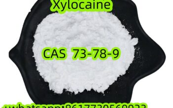 73-78-9 lidocaine Hot Sale Product