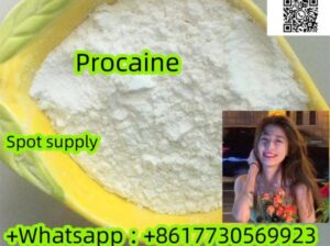 59-46-1 Procaine Free sample