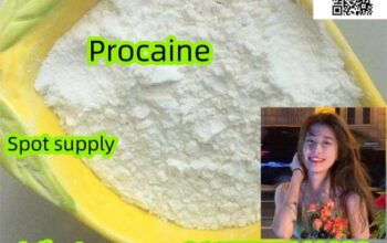 59-46-1 Procaine Free sample