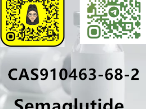 wholesale price 910463-68-2 Semaglutide