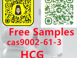 9002-61-3 HCG