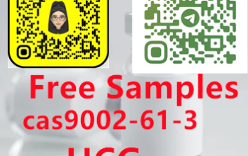 9002-61-3 HCG