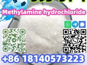 Buy Hot sale CAS 593-51-1 Methylamine hydrochlorid