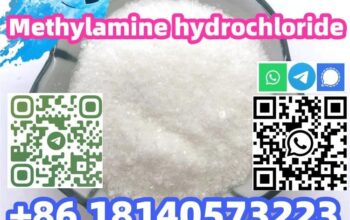 Buy Hot sale CAS 593-51-1 Methylamine hydrochlorid