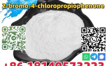 Buy High Purity CAS 877-37-2 2-bromo-4-chloropropi
