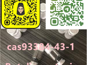 93384-43-1 Botulinum toxin